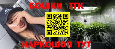 гашик Дубна