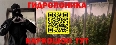 индика Донской